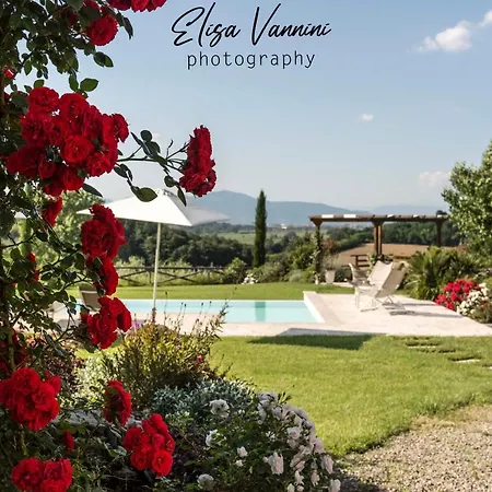 Daire Bilocale Di S Marco Con Piscina