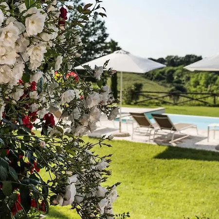 Bilocale Di S Marco Con Piscina Soianella